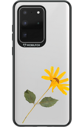 Pressed Flower - Samsung Galaxy S20 Ultra 5G