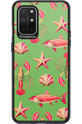 Sea Stars - OnePlus 8T