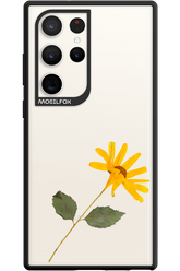 Pressed Flower - Samsung Galaxy S23 Ultra