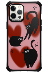 PAWHEARTS - Apple iPhone 12 Pro Max