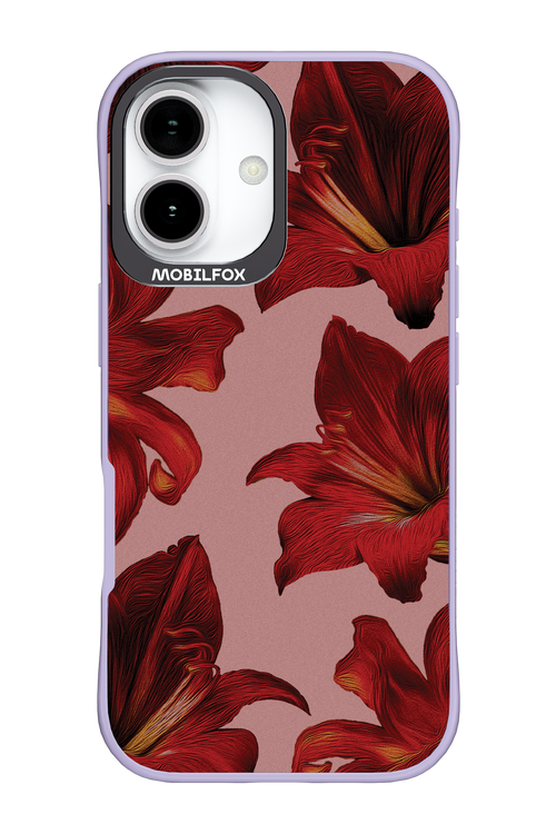 Amaryllis Mist - Apple iPhone 17