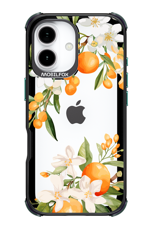 Amalfi Orange 2.0 - Apple iPhone 17