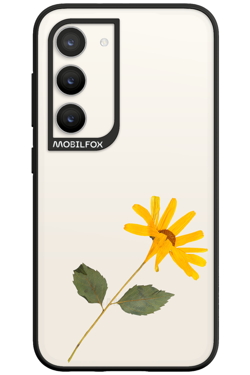Pressed Flower - Samsung Galaxy S23