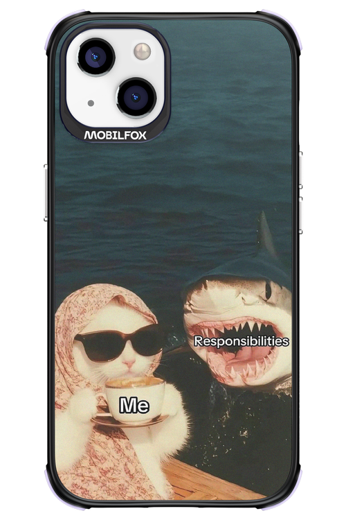 Responsibilities - Apple iPhone 13