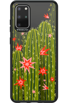 Cactus bloom 2.0 - Samsung Galaxy S20+