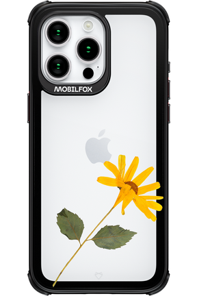 Pressed Flower - Apple iPhone 15 Pro Max