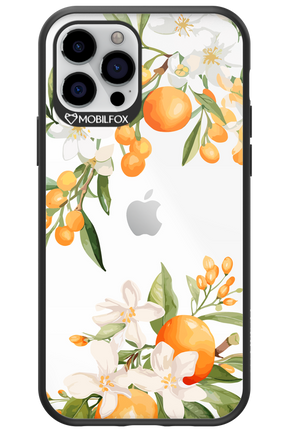 Amalfi Orange - Apple iPhone 12 Pro