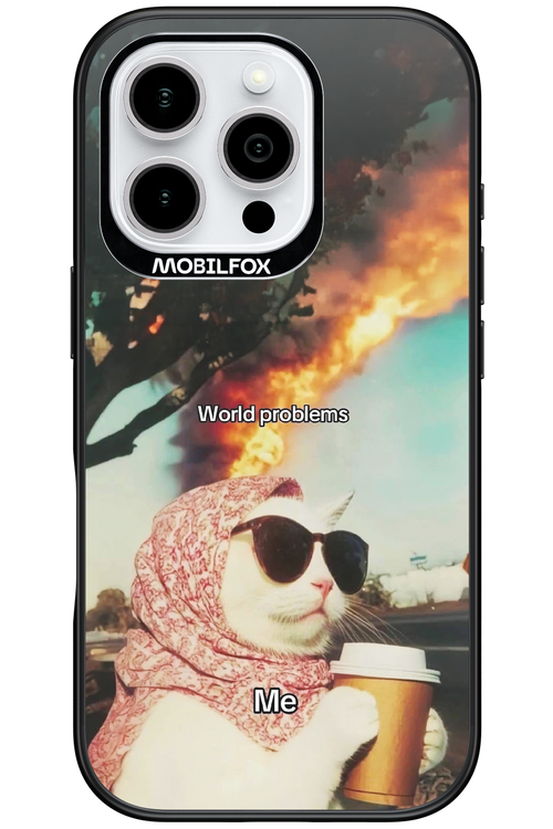 World Problems - Apple iPhone 16 Pro