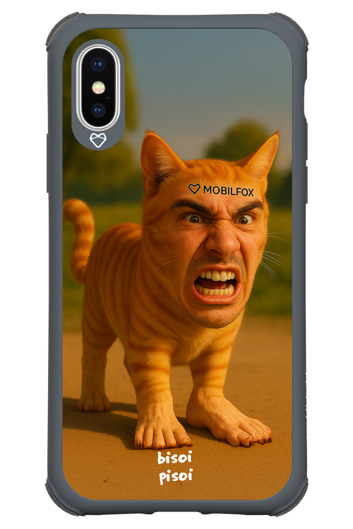 Bisoi Pisoi - Apple iPhone X