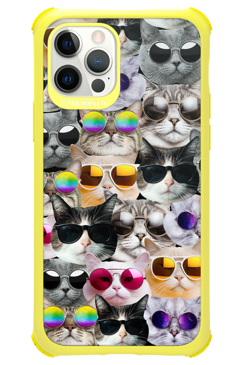Cat World - Apple iPhone 12 Pro