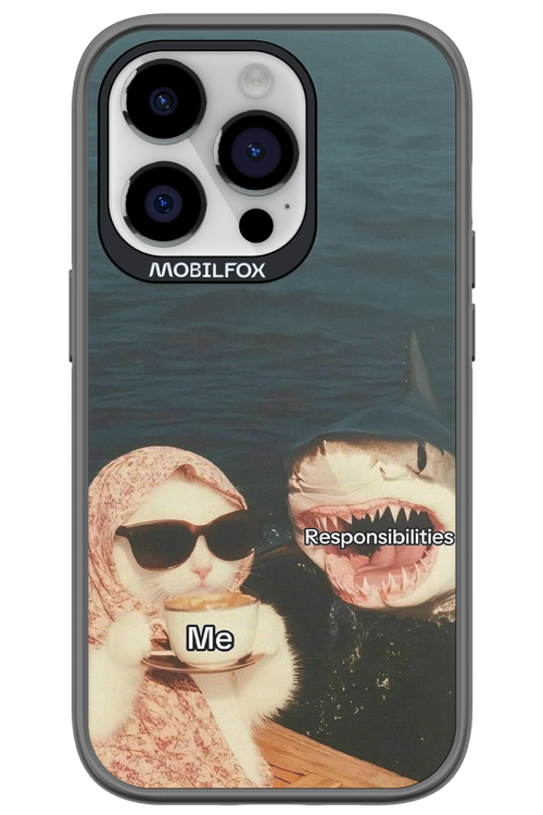 Responsibilities - Apple iPhone 14 Pro