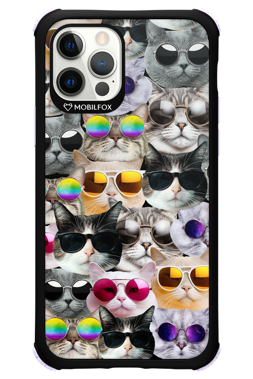 Cat World - Apple iPhone 12 Pro