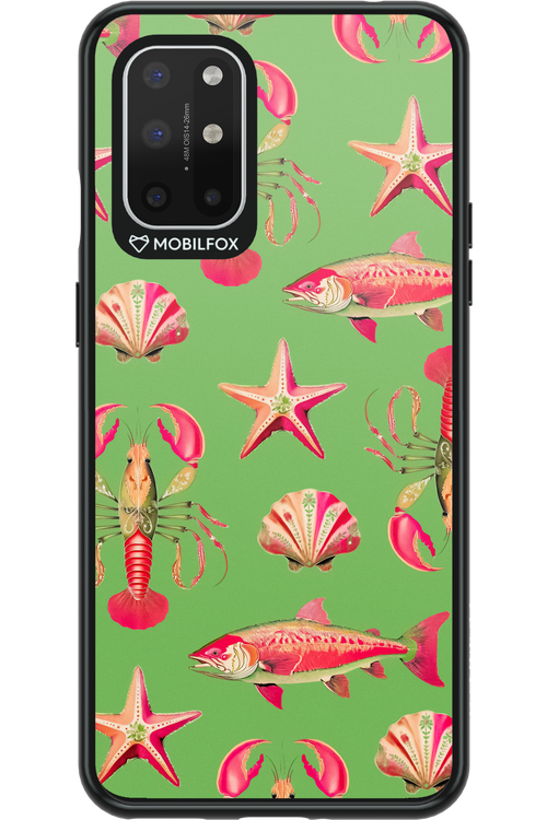 Sea Stars - OnePlus 8T