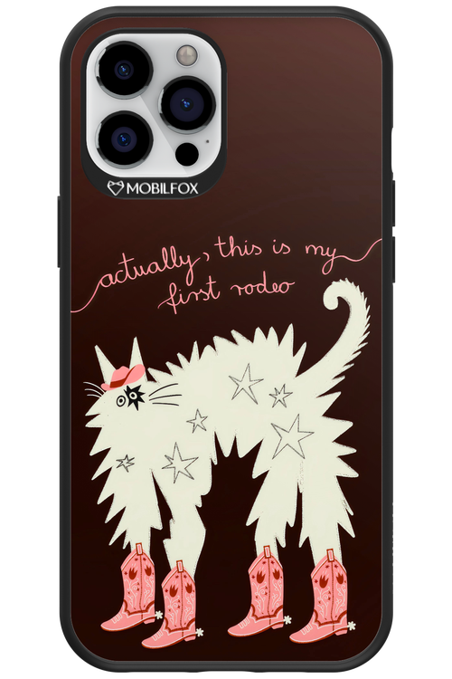 First rodeo 2.0 - Apple iPhone 12 Pro Max