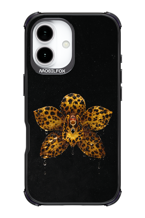Wet & Wild 2.0 - Apple iPhone 17