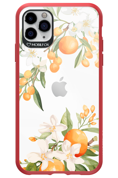 Amalfi Orange - Apple iPhone 11 Pro Max