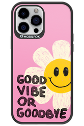 Goodbye 2.0 - Apple iPhone 13 Pro Max