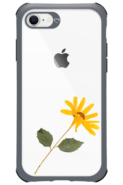 Pressed Flower - Apple iPhone 8