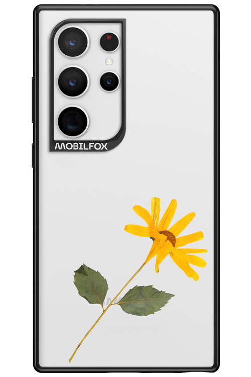 Pressed Flower - Samsung Galaxy S24 Ultra
