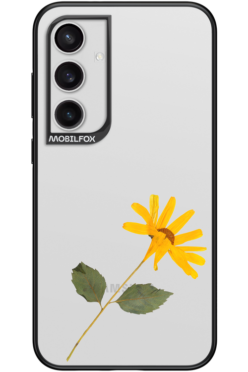 Pressed Flower - Samsung Galaxy S24+
