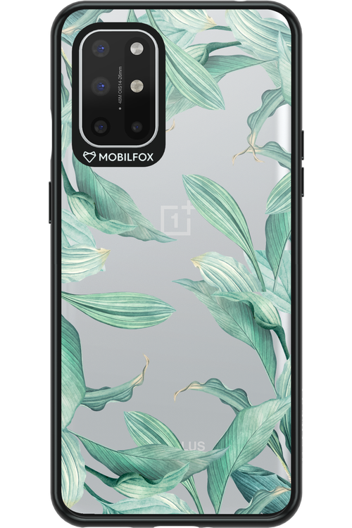 Greenpeace - OnePlus 8T