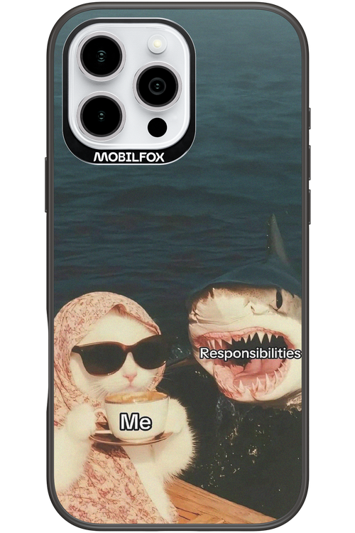Responsibilities - Apple iPhone 16 Pro Max