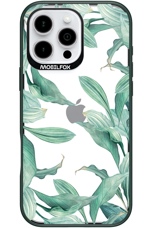 Greenpeace - Apple iPhone 16 Pro Max