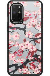 Sakura 2.0 - OnePlus 8T
