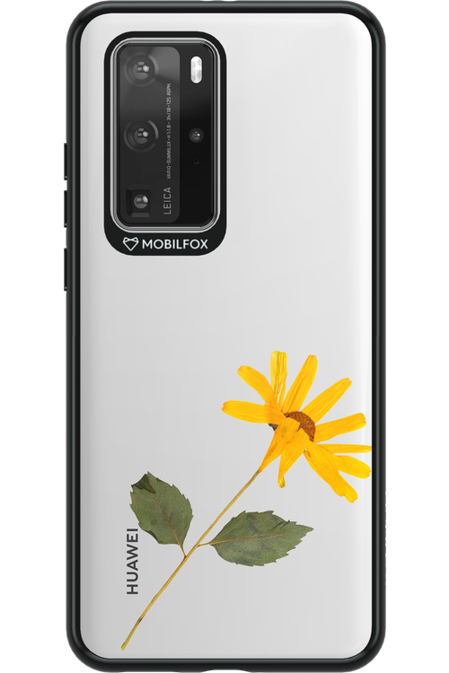 Pressed Flower - Huawei P40 Pro
