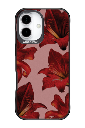 Amaryllis Mist - Apple iPhone 17