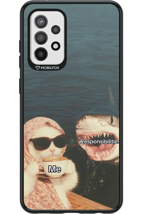 Responsibilities - Samsung Galaxy A72