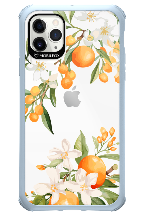 Amalfi Orange - Apple iPhone 11 Pro Max