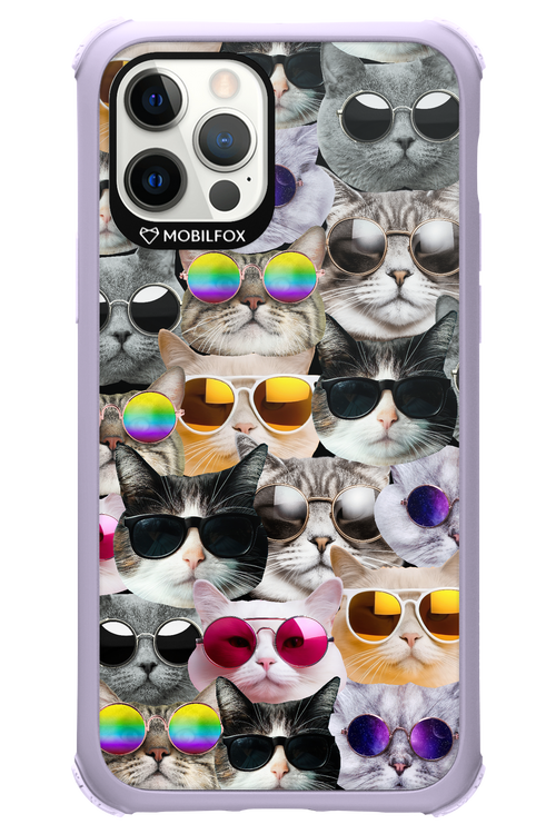 Cat World - Apple iPhone 12 Pro
