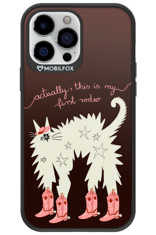 First rodeo 2.0 - Apple iPhone 13 Pro Max