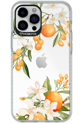 Amalfi Orange - Apple iPhone 12 Pro Max