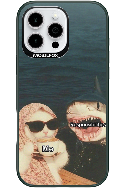 Responsibilities - Apple iPhone 16 Pro Max