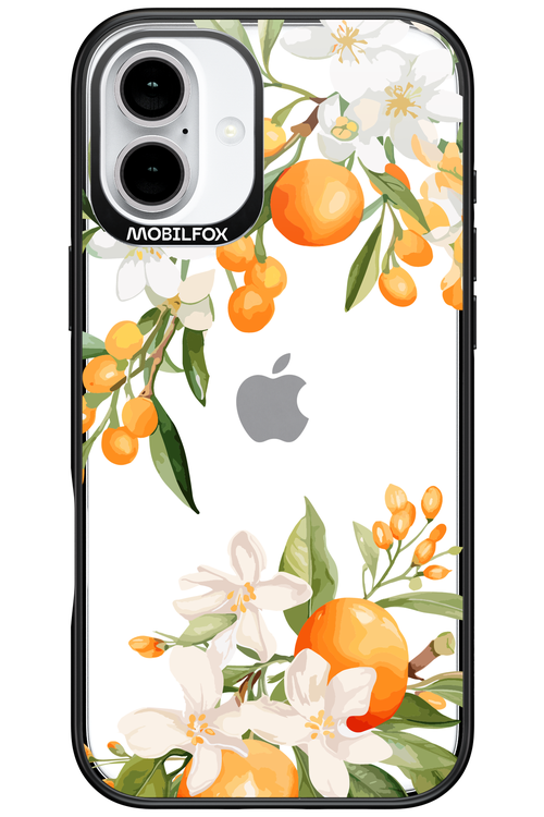 Amalfi Orange - Apple iPhone 16 Plus