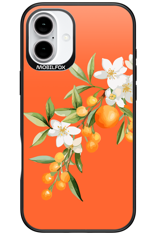 Amalfi Oranges - Apple iPhone 16 Plus