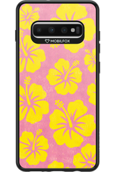 HAWAII 2.0 - Samsung Galaxy S10+