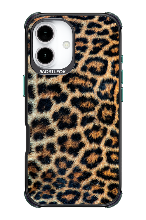 Leopard - Apple iPhone 17