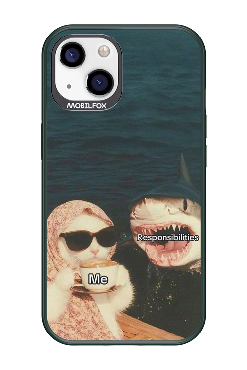 Responsibilities - Apple iPhone 13