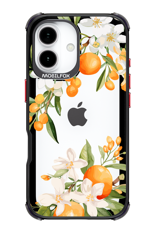 Amalfi Orange - Apple iPhone 17