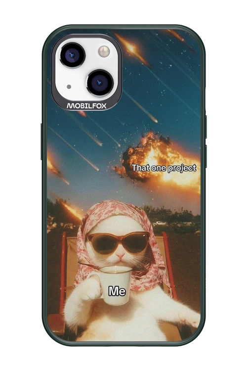 That one project - Apple iPhone 13