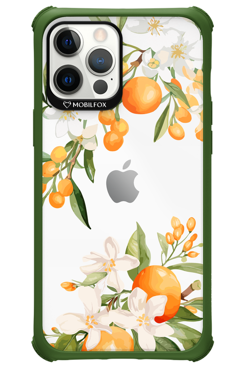 Amalfi Orange - Apple iPhone 12 Pro Max