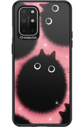 PURRr - OnePlus 8T