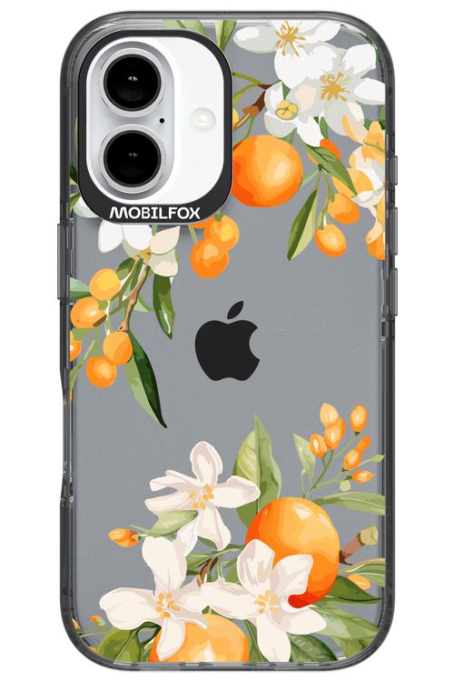 Amalfi Orange - Apple iPhone 16