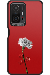 Red Flower - Xiaomi Mi 11T