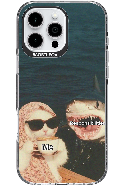Responsibilities - Apple iPhone 16 Pro Max