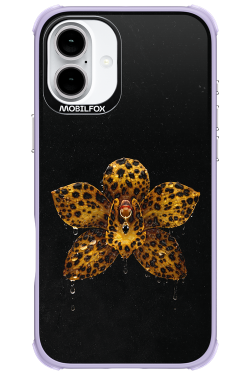 Wet & Wild 2.0 - Apple iPhone 16 Plus