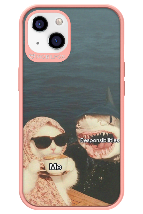 Responsibilities - Apple iPhone 13